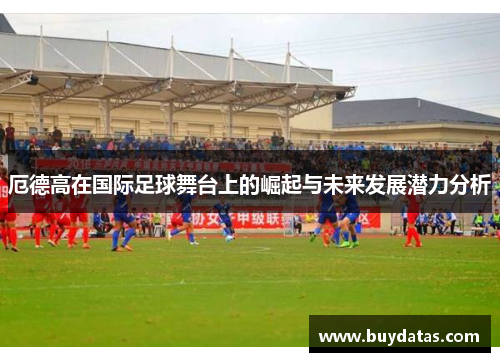 厄德高在国际足球舞台上的崛起与未来发展潜力分析