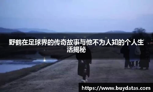 优游国际ub8